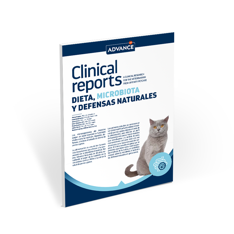 ADV_CR_microbiota_CAT_miniatura