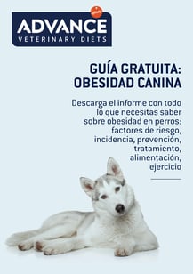 Affinity - RR Obesidad canina