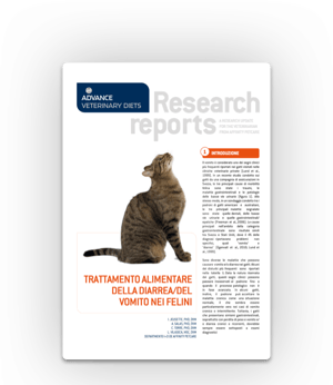 AFF IT - Portada 2D - Gastroenteritic feline