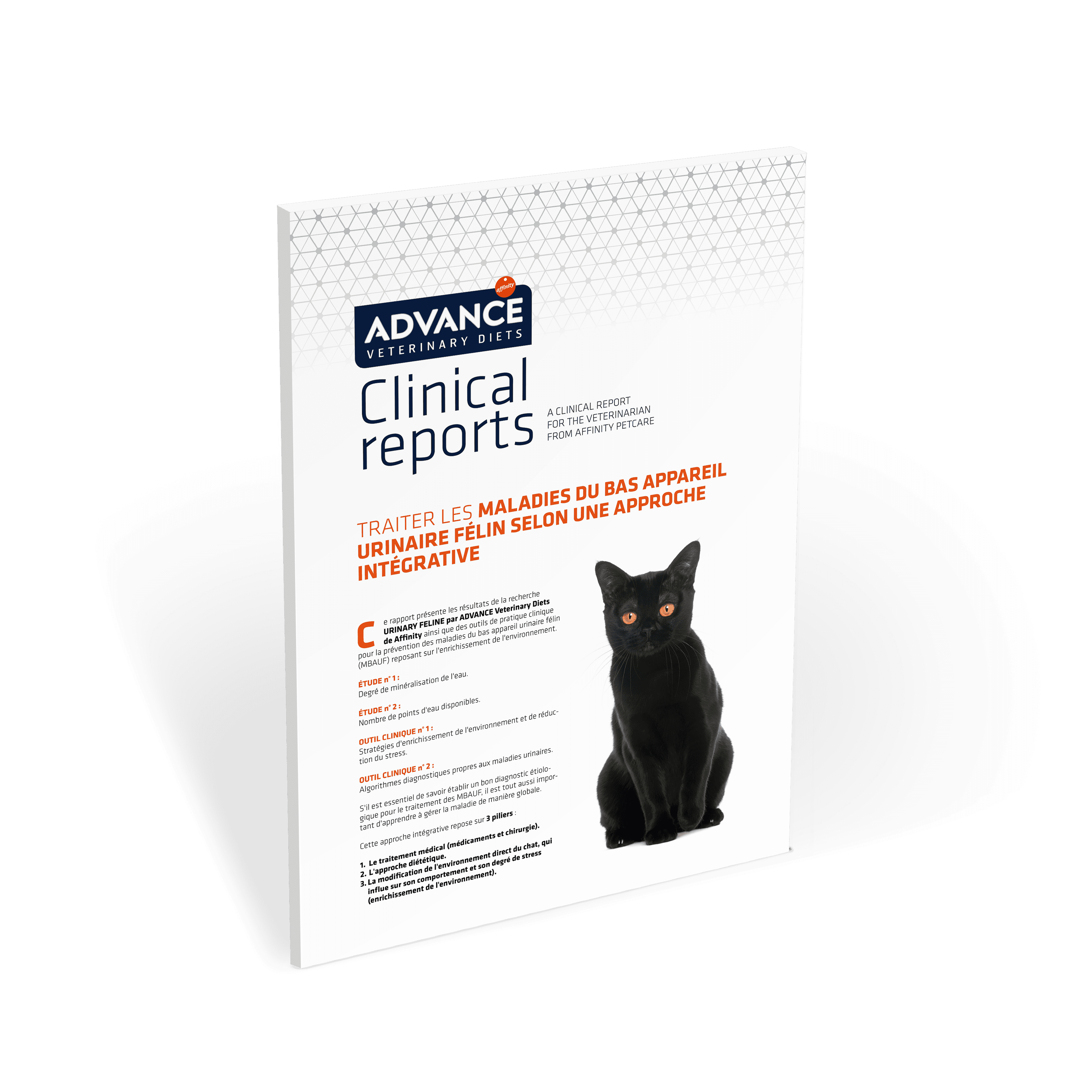 AFF-FR Urinary feline