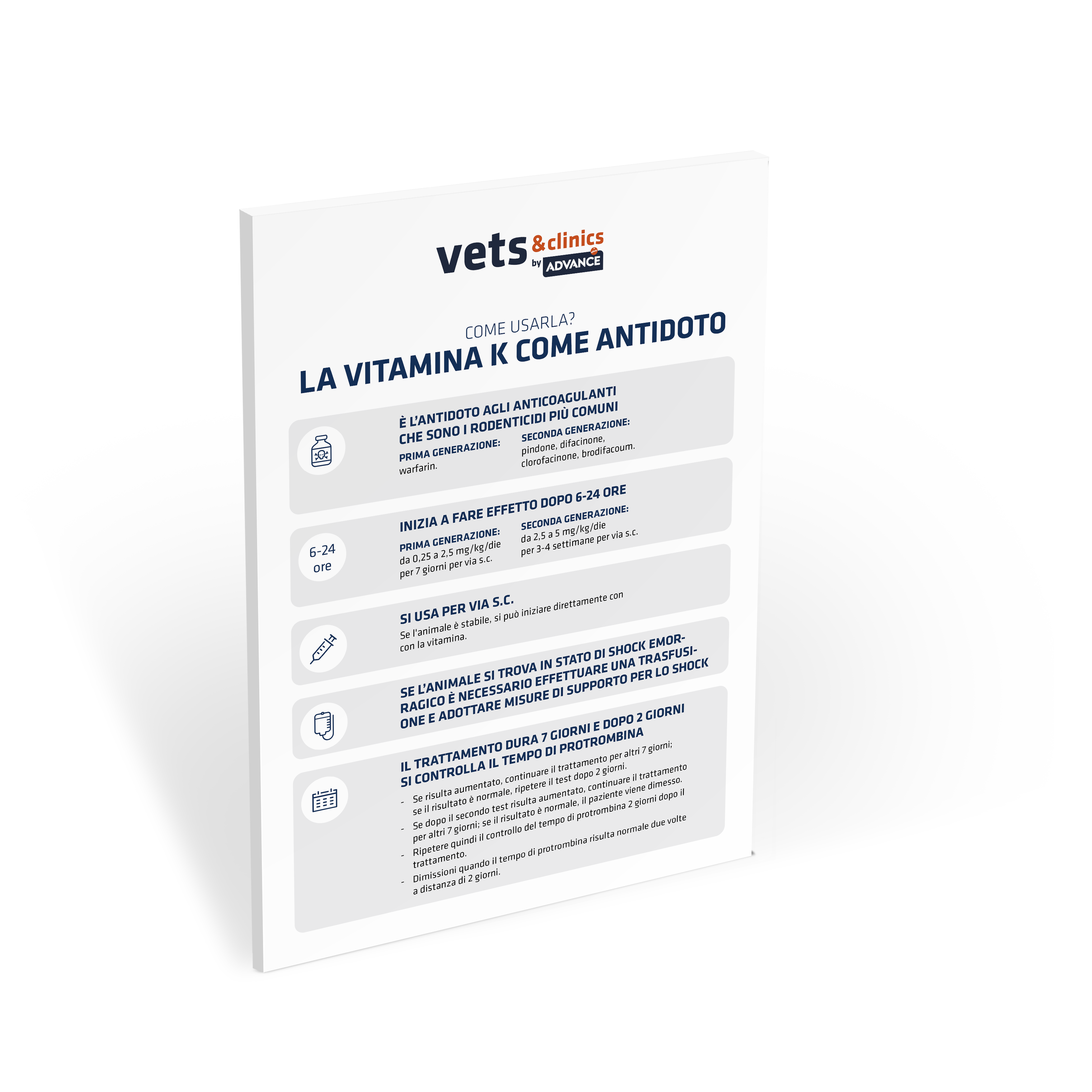 Miniatura_Infografia_AFFINITY_Vitamina_K_IT