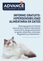 AFF_hipersensibilidad_alimentaria_gatos