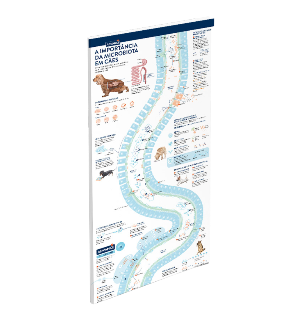 Microbiota em caes