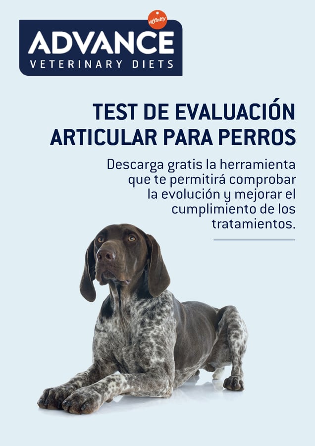 Test_evaluacion_grande.png