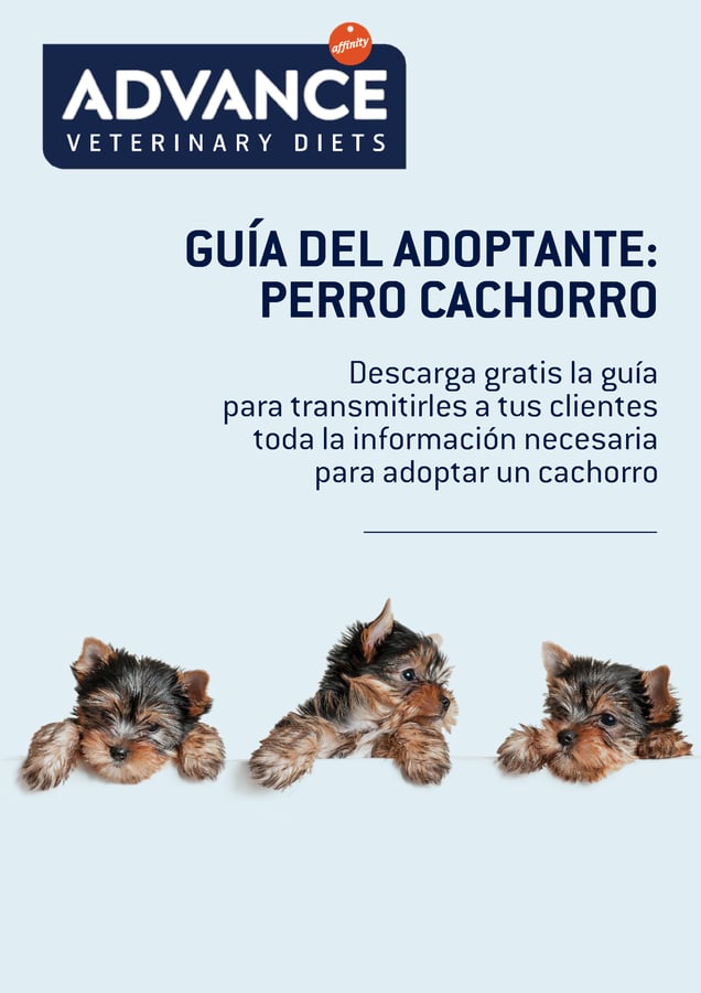 portada_guia_adoptante.png