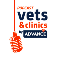 Podcasts