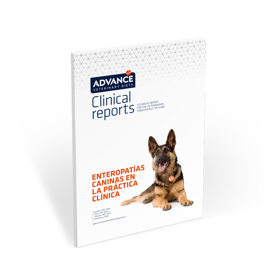 enteropatias-caninas