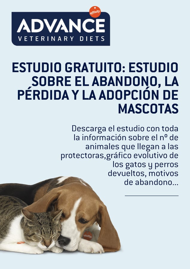 Estudio adopción Vets&Clinics.png